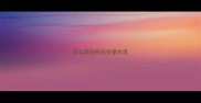 怎么跟拉布拉多量体温