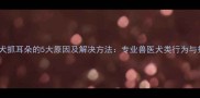 边境牧羊犬抓耳朵的5大原因及解决方法专业兽医犬类行为与护理指南
