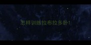 怎样训练拉布拉多卧