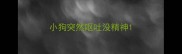 小狗突然呕吐没精神