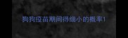 狗狗疫苗期间得细小的概率