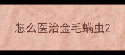 怎么医治金毛螨虫