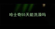 哈士奇55天能洗澡吗