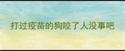 打过疫苗的狗咬了人没事吧