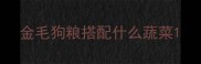 金毛狗粮搭配什么蔬菜