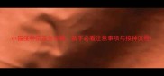 小猫接种疫苗全攻略新手必看注意事项与接种流程