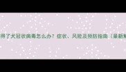 哈士奇得了犬冠状病毒怎么办症状风险及预防指南最新解读