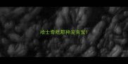 哈士奇吃那种发育宝
