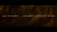 边境牧羊犬成犬标准1-2岁是关键期科学饲养指南与常见误区