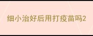 细小治好后用打疫苗吗