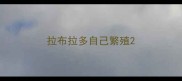 拉布拉多自己繁殖