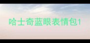 哈士奇蓝眼表情包