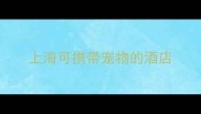 上海可携带宠物的酒店