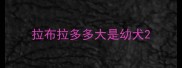 拉布拉多多大是幼犬