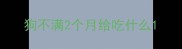 狗不满2个月给吃什么