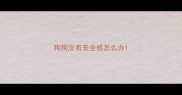 狗狗没有安全感怎么办