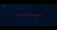 拉布拉多掉毛清理神器