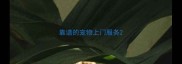 靠谱的宠物上门服务