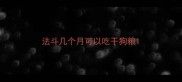 法斗几个月可以吃干狗粮