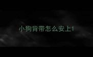 小狗背带怎么安上