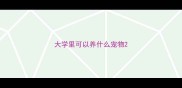 大学里可以养什么宠物