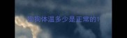 狗狗体温多少是正常的