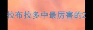 拉布拉多中最厉害的