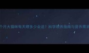 两个月大猫咪每天喂多少合适科学喂养指南与营养需求全