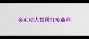 金毛幼犬拉稀打疫苗吗
