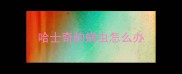 哈士奇的螨虫怎么办