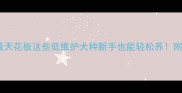 狗狗颜值天花板这些低维护犬种新手也能轻松养附养护攻略