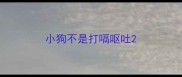 小狗不是打嗝呕吐