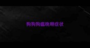 狗狗狗瘟晚期症状