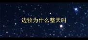 边牧为什么整天叫