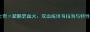 哈士奇腊肠混血犬双血统培育指南与特性全