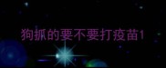 狗抓的要不要打疫苗