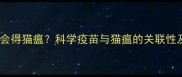 猫咪打疫苗会得猫瘟科学疫苗与猫瘟的关联性及预防指南