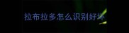 拉布拉多怎么识别好坏