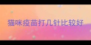 猫咪疫苗打几针比较好
