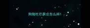 狗狗吃芒果会怎么样