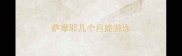 萨摩耶几个月能游泳
