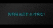 狗狗驱虫药什么时候吃