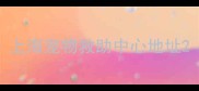 上海宠物救助中心地址