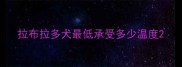 拉布拉多犬最低承受多少温度