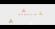 猫咪梳毛用什么梳子好