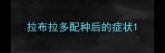 拉布拉多配种后的症状