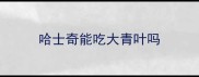 哈士奇能吃大青叶吗