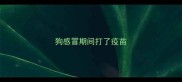 狗感冒期间打了疫苗