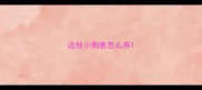 边牧小狗崽怎么养