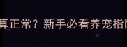 泰迪犬毛量多少算正常新手必看养宠指南附护理干货